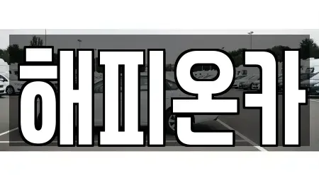 경기도 양평군 단월면 중고차 전문 해피온카