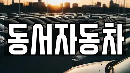 경남 의령군 의령읍 중고차 전문 동서자동차