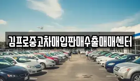 경남 의령군 의령읍 중고차매입 전문 김프로중고차매입판매수출매매센터