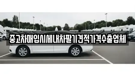 경남 진주시 장대동 중고차매입 전문 중고차매입시세내차팔기견적가격수출업체