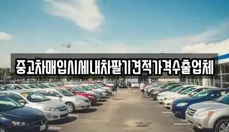 경남 창원시 마산합포구 자산동 중고차매입 전문 중고차매입시세내차팔기견적가격수출업체