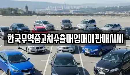경남 창원시 마산합포구 자산동 중고차매입 전문 한국무역중고차수출매입매매판매시세