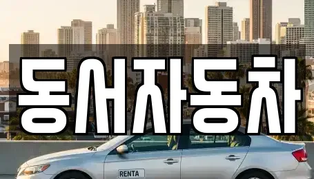 경남 창원시 성산구 성산동 중고차 전문 동서자동차