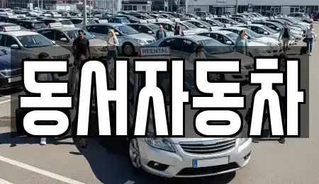 경남 창원시 진해구 중앙동 중고차 전문 동서자동차
