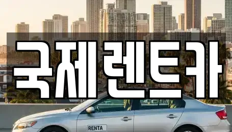 경북 구미시 금전동 렌트카 전문 국제렌트카