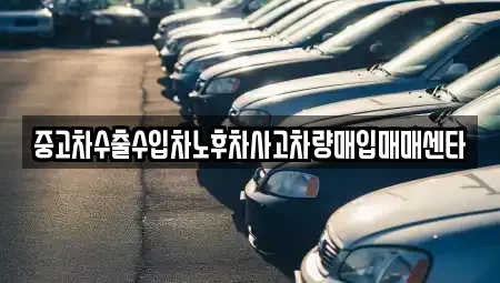 경북 의성군 금성면 중고차 전문 중고차수출수입차노후차사고차량매입매매센타