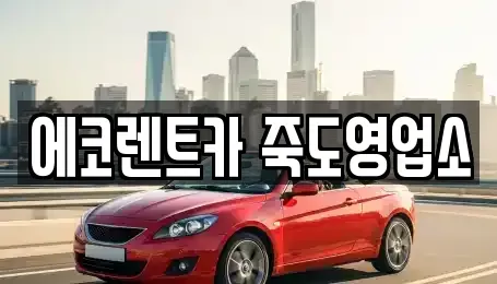 경북 포항시 남구 이동 렌트카 전문 에코렌트카 죽도영업소