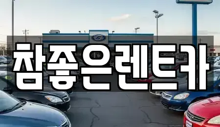 경북 포항시 남구 이동 렌트카 전문 참좋은렌트카