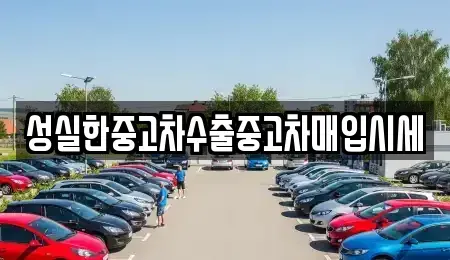 경북 포항시 남구 이동 중고차매매 전문 성실한중고차수출중고차매입시세