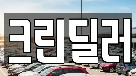 경북 포항시 남구 이동 중고차매매 전문 크린딜러