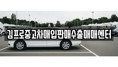 경북 포항시 남구 이동 중고차매입 전문 김프로중고차매입판매수출매매센터