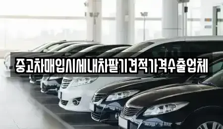 경북 포항시 남구 이동 중고차매입 전문 중고차매입시세내차팔기견적가격수출업체