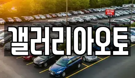 경상남도 진주시 집현면 중고차 전문 갤러리아오토