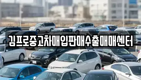 경상남도 진주시 집현면 중고차매입 전문 김프로중고차매입판매수출매매센터