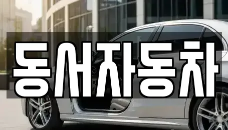 경상남도 창원시 성산구 반송동 중고차매매 전문 동서자동차