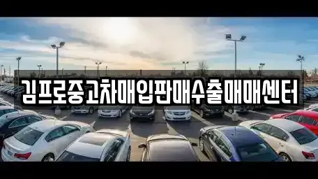 경상남도 창원시 진해구 대흥동 중고차 전문 김프로중고차매입판매수출매매센터