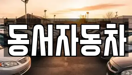 경상남도 창원시 진해구 대흥동 중고차 전문 동서자동차