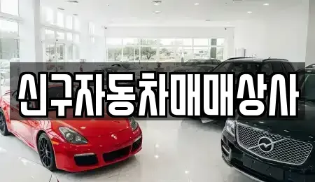 경상남도 창원시 진해구 대흥동 중고차 전문 신구자동차매매상사