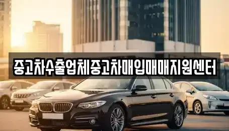 경상남도 통영시 산양읍 단기렌트카,중고차매입,중고차매매,중고차,렌트카,장기렌트카