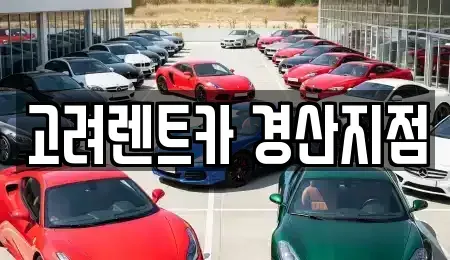 경상북도 경산시 서상동 렌트카 전문 고려렌트카 경산지점
