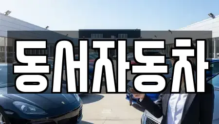 경상북도 경산시 서상동 중고차 전문 동서자동차