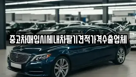 경상북도 경산시 서상동 중고차매입 전문 중고차매입시세내차팔기견적가격수출업체