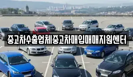 경상북도 경산시 서상동 중고차매입 전문 중고차수출업체중고차매입매매지원센터