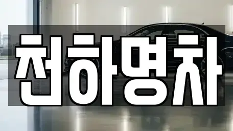 경상북도 구미시 봉곡동 중고차매입 전문 천하명차