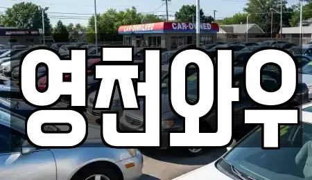 경상북도 영천시 금호읍 렌트카 전문 영천와우