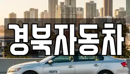 경상북도 영천시 금호읍 중고차 전문 경북자동차