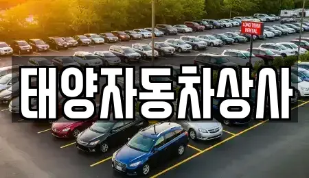 경상북도 영천시 금호읍 중고차 전문 태양자동차상사