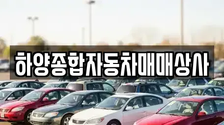 경상북도 영천시 금호읍 장기렌트카,중고차,렌트카,단기렌트카,중고차매입,중고차매매