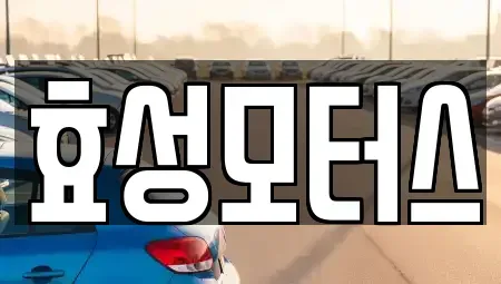 경상북도 영천시 금호읍 중고차 전문 효성모터스