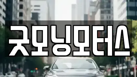 경상북도 영천시 청통면 중고차 전문 굿모닝모터스