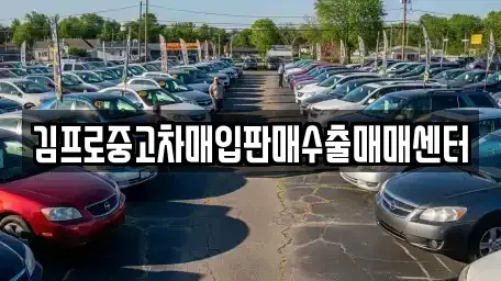 광주 광산구 북산동 중고차매입 전문 김프로중고차매입판매수출매매센터