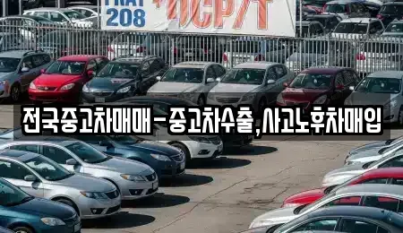 광주 광산구 북산동 중고차매입 전문 전국중고차매매-중고차수출,사고노후차매입