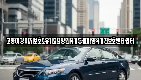 광주광역시 광산구 오운동 중고차 전문 고양이강아지보호소유기묘요양원유기동물파양유기견보호센터쉼터