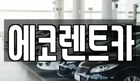 광주광역시 남구 칠석동 렌트카 전문 에코렌트카