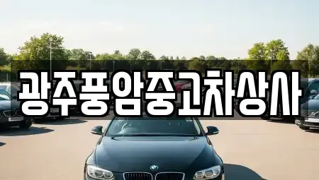 광주광역시 남구 칠석동 중고차매매 전문 광주풍암중고차상사