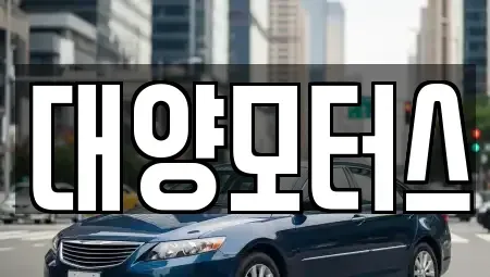 광주광역시 남구 칠석동 중고차매매 전문 대양모터스