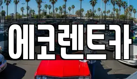 광주광역시 서구 농성동 렌트카 전문 에코렌트카