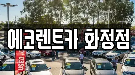 광주광역시 서구 농성동 장기렌트카 전문 에코렌트카 화정점
