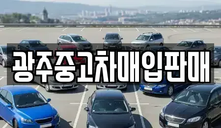 광주광역시 서구 농성동 단기렌트카,중고차매입,중고차매매,중고차,렌트카,장기렌트카