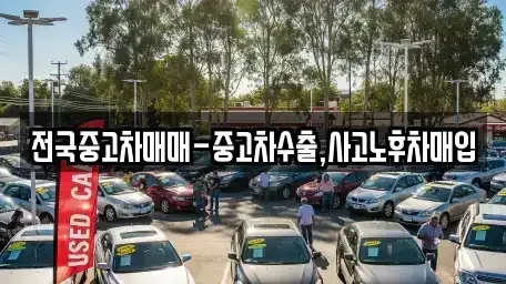 광주광역시 서구 농성동 중고차매입 전문 전국중고차매매-중고차수출,사고노후차매입