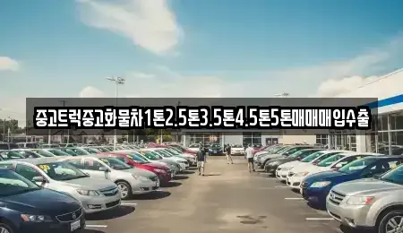 광주광역시 서구 농성동 중고차매입 전문 중고트럭중고화물차1톤2.5톤3.5톤4.5톤5톤매매매입수출