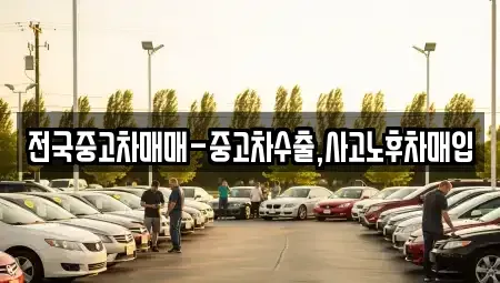 대구 달서구 진천동 중고차매입 전문 전국중고차매매-중고차수출,사고노후차매입
