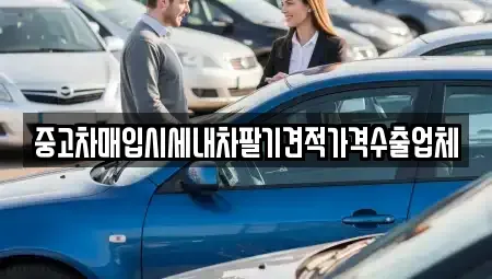 대구 달서구 진천동 중고차매입 전문 중고차매입시세내차팔기견적가격수출업체