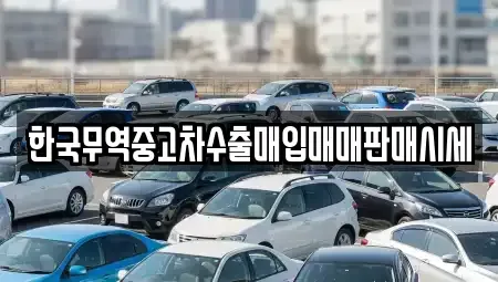 대구 달서구 진천동 중고차매입 전문 한국무역중고차수출매입매매판매시세