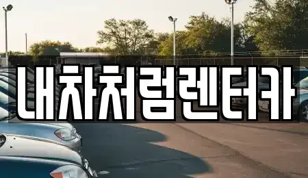 대구 동구 검사동 렌트카 전문 내차처럼렌터카