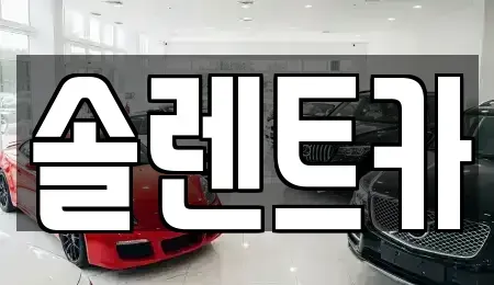 대구 동구 검사동 렌트카 전문 솔렌트카